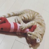  さん
