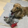 大好きなオモチャ