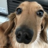 ストーブ大好き