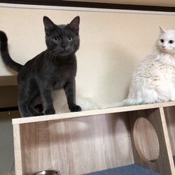 久しぶりのログイン