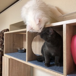 「久しぶりのログイン」サムネイル2