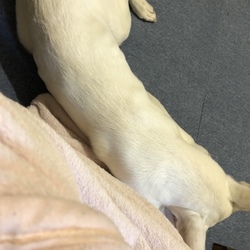 「久しぶりのログイン」サムネイル3