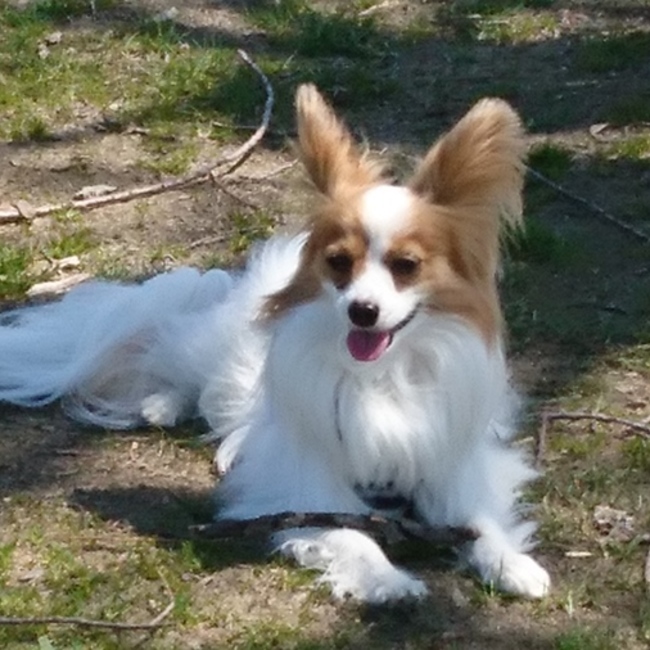 YACINNのカバー写真