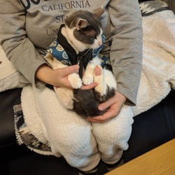 「抱っこ（冬バージョン）」サムネイル2