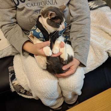 ちゃんちゃんこ