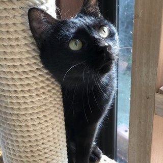 【トット】募集を終了しました