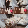 の写真