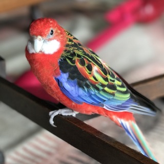 たくさんのご応募ありがとうございました