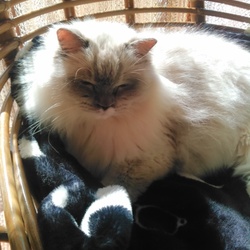 休みの日はうるさいって怒るアンディ(笑)