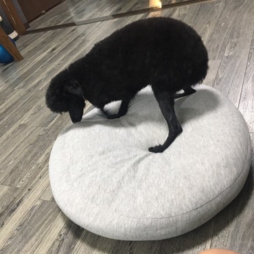 の写真