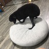 の写真