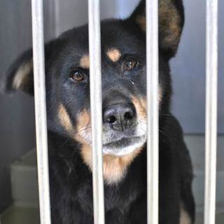 フレンドリーな暖(だん)くん。センターで待ってます