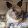 もとみん☆