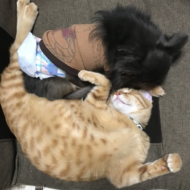 仲良し(^ ^)
