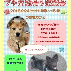 プチ交流会&譲渡会