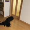 お母さんの帰りを待つ
