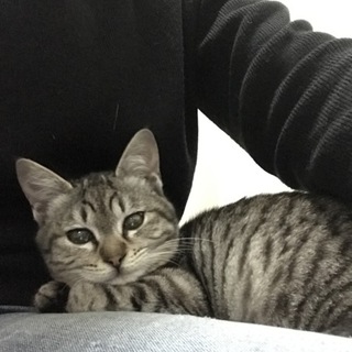 まなちゃん☆里親様が決まりました♡