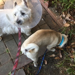 「お互い歳を感じるね」サムネイル3