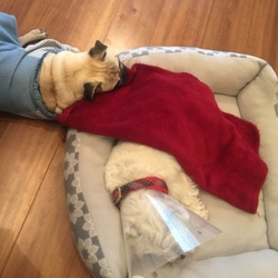 「お互い歳を感じるね」サムネイル2