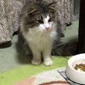 急募です！