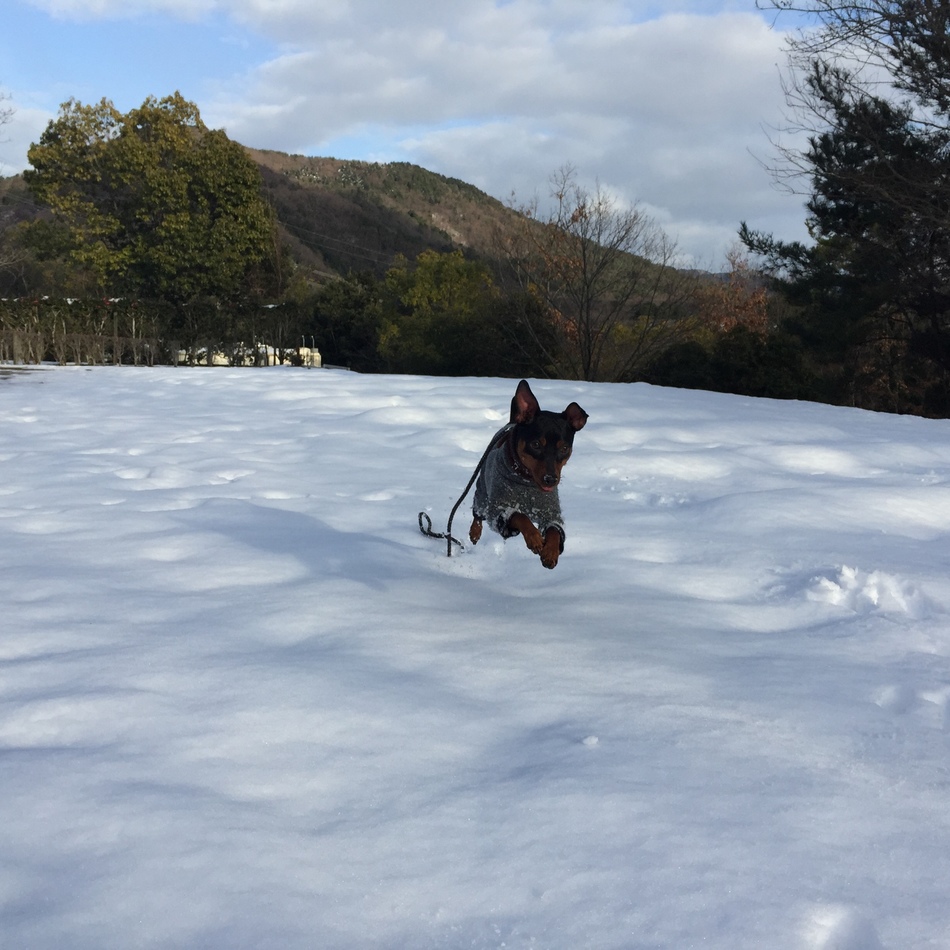 海陸のカバー写真