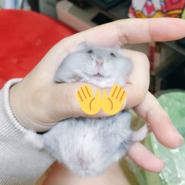 お尻から抜け出そうとするので顔がこうなります