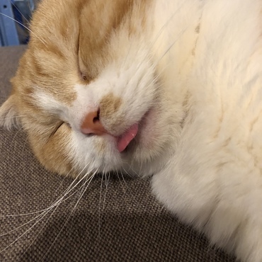 の写真