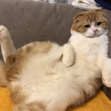 の写真