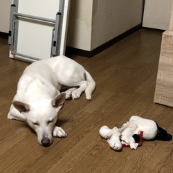 モロ様ちゃんの親友