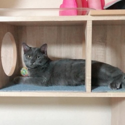 「場所取り合戦」サムネイル3