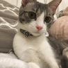 りのん118