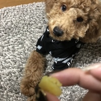 諭吉