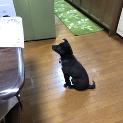 「大寿日記5」サムネイル2