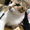 私の家族募集中です サムネイル2