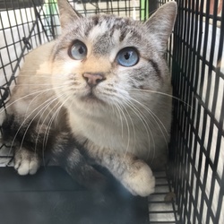 そろそろ、その季節…