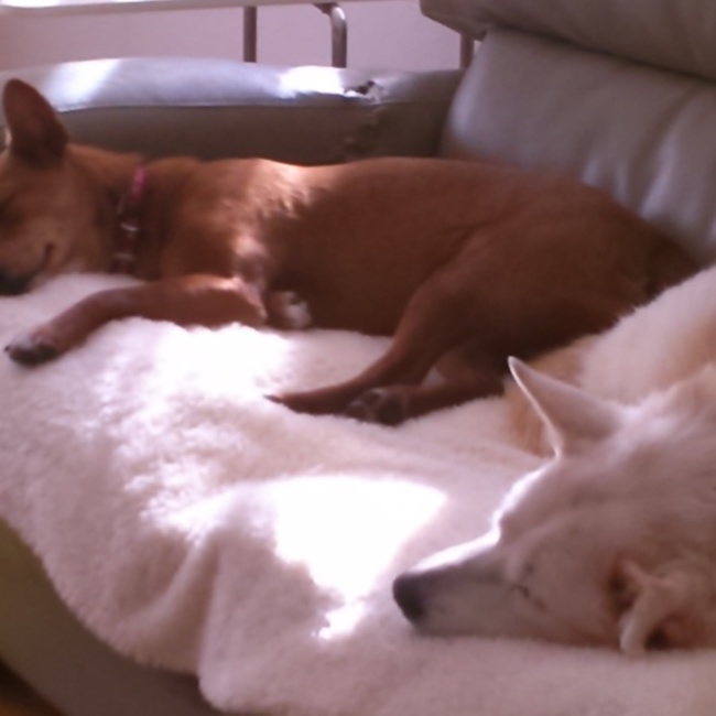 imamuraのカバー写真