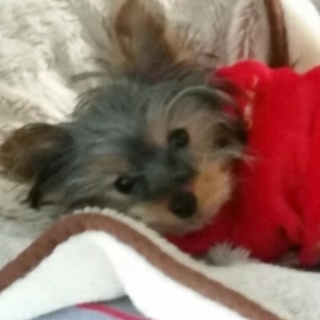 多数の応募を頂きました一旦終了しますm(__)m