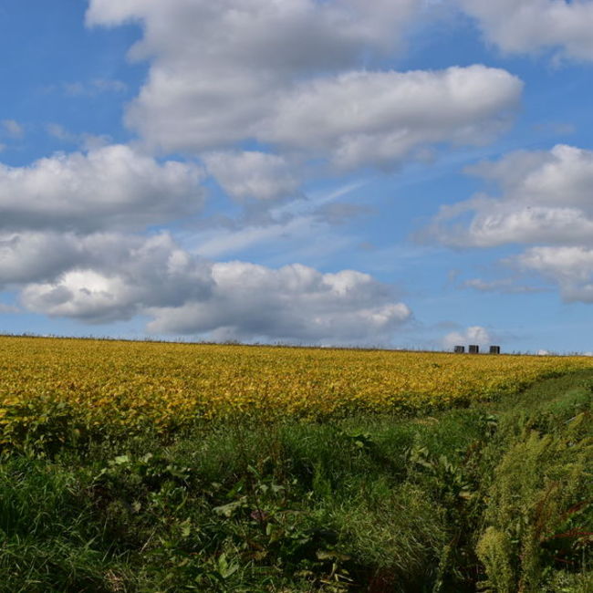 Keiko Hamaのカバー写真