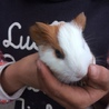 ありがとうございました サムネイル4