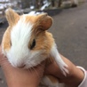 ありがとうございました サムネイル5