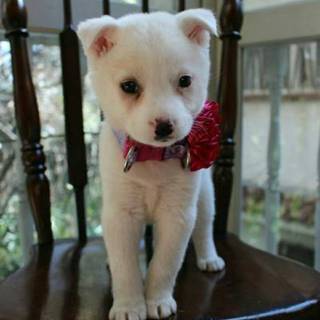 可愛いお顔のやんちゃ姫☆テレサちゃん