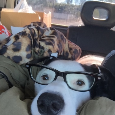 インティの写真