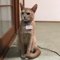 ルナ
