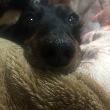在りし日の緑3。よく眠る子