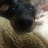 在りし日の緑3。よく眠る子