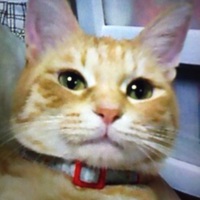 ちゃっちん