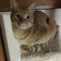 9ヶ月待っています！
