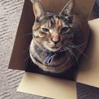 ムギ