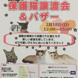 保護猫譲渡会&バザー