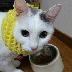 「 まだまだ先は長いが、なんとなく前進」サムネイル2